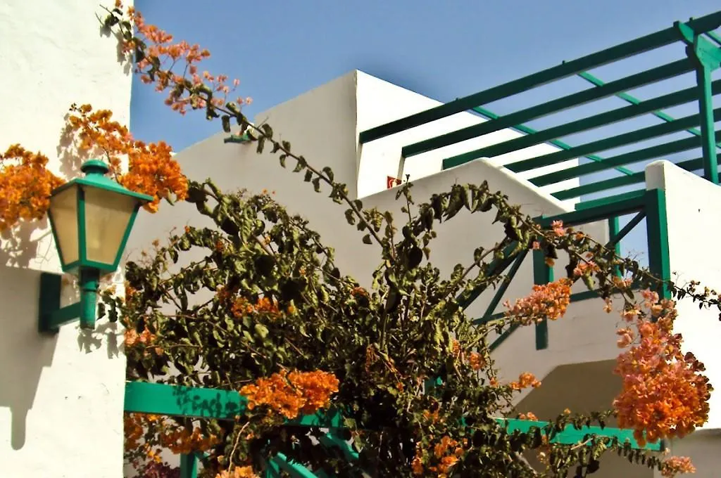 Apartment Apartamentos Celeste Costa Teguise Spain